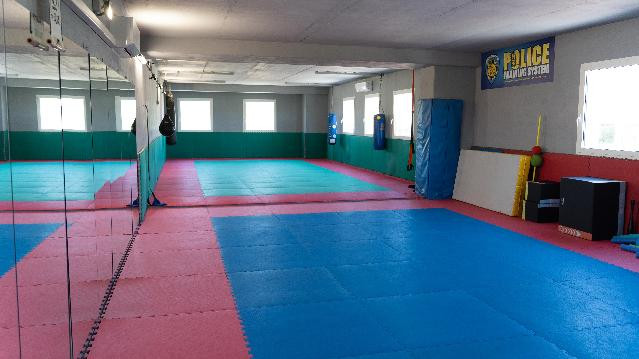 Immagine 2 dalla galleria del partner Martial Fitness Palace Palestra