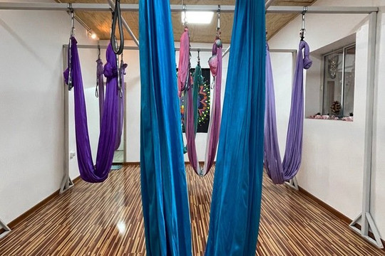 Imagen 2 de la galería del partner Naia Studio