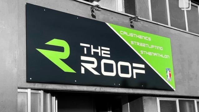 Immagine 2 dalla galleria del partner The Roof Calisthenics Functional Training