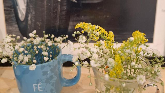 Imagem 3 da galeria do parceiro Florescer.co – Espaço Terapêutico MultiVivencial