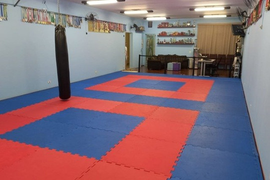 Imagem 3 da galeria do parceiro Instituto Mestre Ricardo Pereira