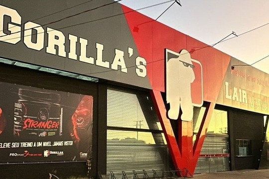 Imagem 2 da galeria do parceiro Gorillas