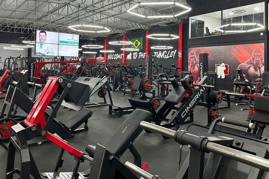 Imagem 1 da galeria do parceiro Gorillas