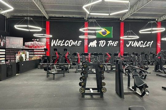 Imagem 3 da galeria do parceiro Gorillas