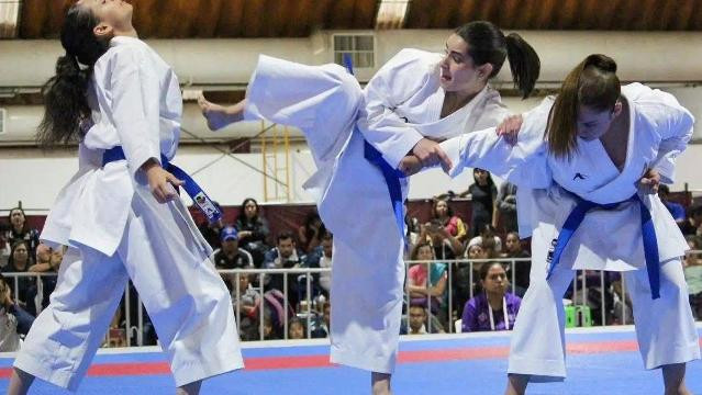 Imagen 1 de la galería del partner Karate Premier Dojo Dominio