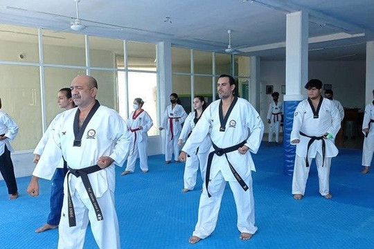 Imagen 3 de la galería del partner Taekwondo Sonbae Cancún 1