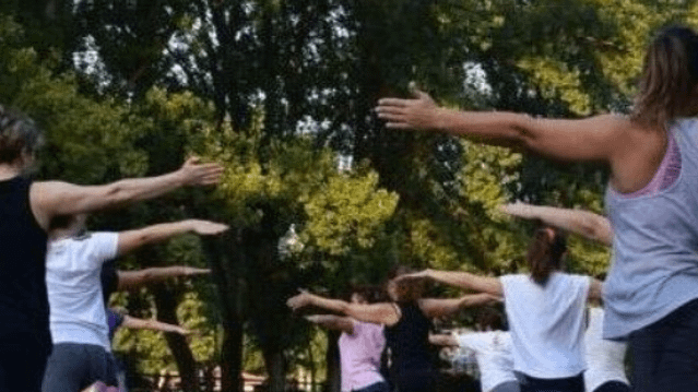 Imagem 1 da galeria do parceiro IL GIARDINO Yogastudio Isarauen