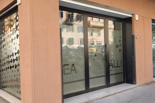Immagine 2 dalla galleria del partner Allinea Sport&Postura SSD
