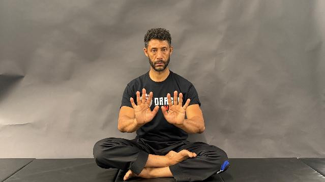 Image 1 from Dragon Mu Sool partner gallery