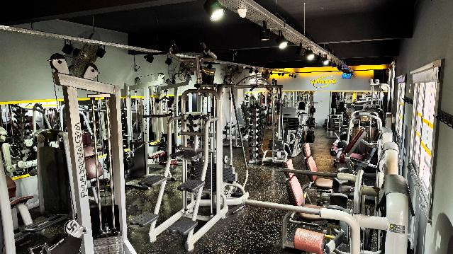 Imagen 1 de la galería del partner Opus Gym Florida