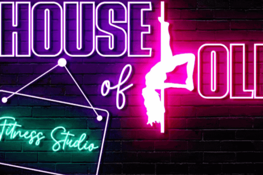 Image 3 from House of Pole partner gallery