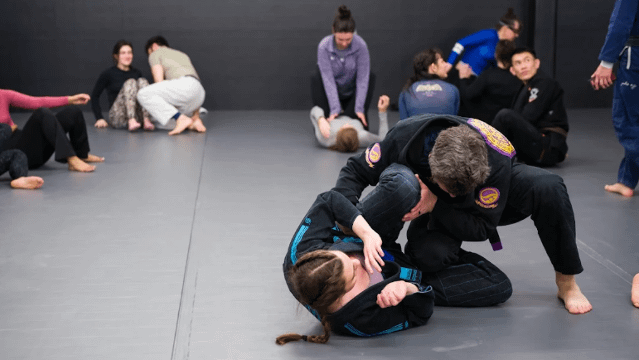 Image 1 from Rogue Jiu-Jitsu partner gallery
