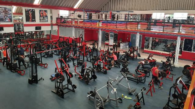 Imagen 1 de la galería del partner Muscles Factory Fitness & gym