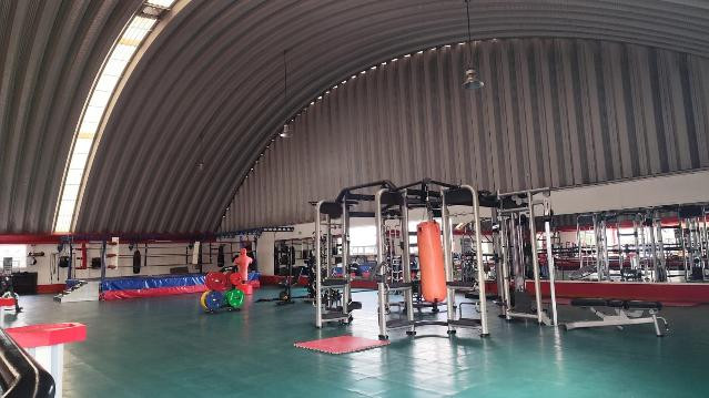 Imagen 3 de la galería del partner Muscles Factory Fitness & gym