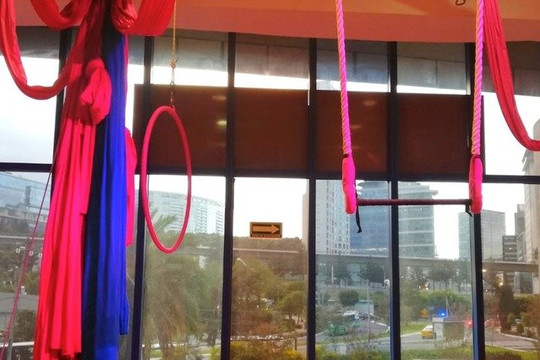 Imagen 1 de la galería del partner D'Silva Dance Studio