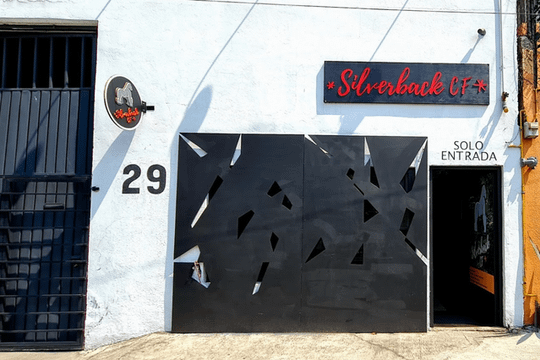 Imagen 2 de la galería del partner Silverback CF