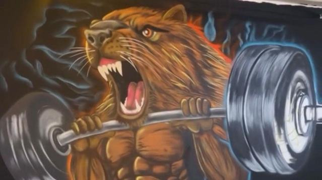 Imagem 2 da galeria do parceiro Ws Cross Altino