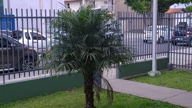 Imagem 2 da galeria do parceiro Accadere Saúde e Bem Estar