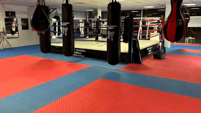 Bild 2 von Fight Academy Passau Partnergalerie