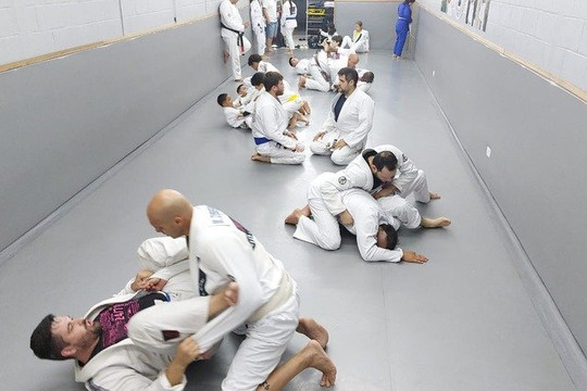 Imagem 3 da galeria do parceiro Arte Vital