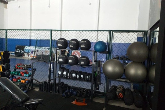 Imagem 2 da galeria do parceiro Aloha Academia