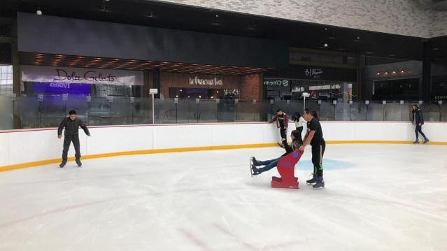 Imagen 1 de la galería del partner Ice Arena