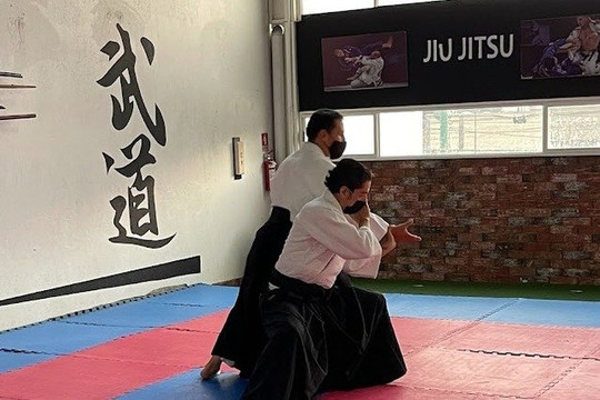 Imagen 1 de la galería del partner Budo MX Artes Marciales