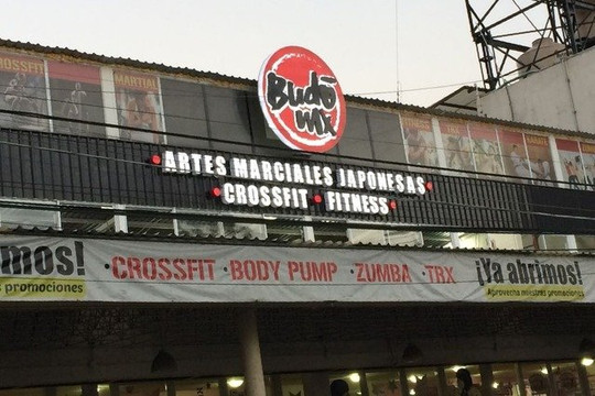 Imagen 2 de la galería del partner Budo MX Artes Marciales