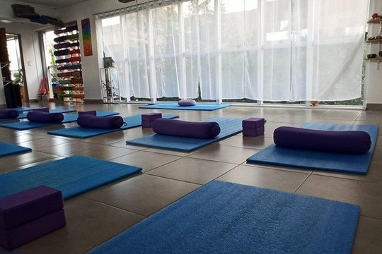 Imagen 2 de la galería del partner Vital Yoga