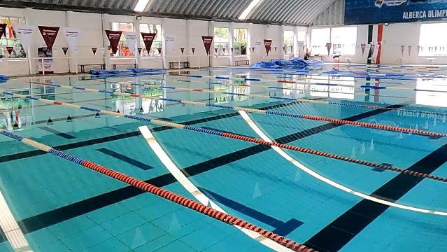 Imagen 1 de la galería del partner Alberca Olímpica Tlalnepantla