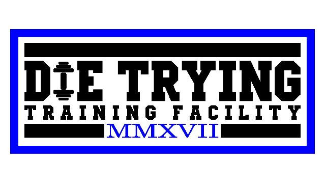 Image 1 from Die Trying Training Facility PHX partner gallery