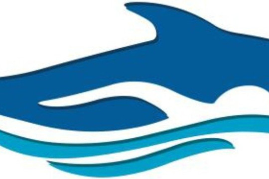 Imagem 1 da galeria do parceiro Água Viva Centro de Esportes