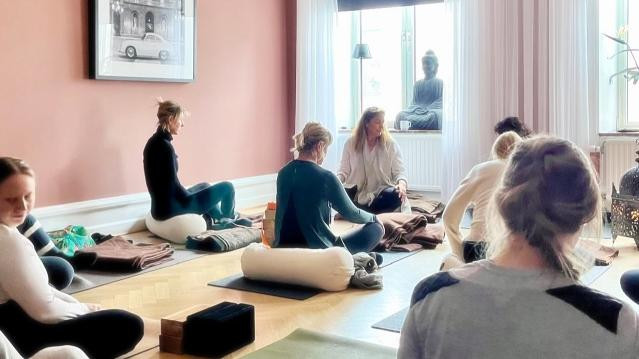 Image 3 from ISHTA Yoga partner gallery