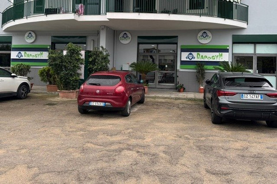 Immagine 1 dalla galleria del partner Dapo Gym