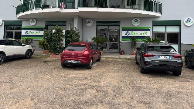 Immagine 2 dalla galleria del partner Dapo Gym