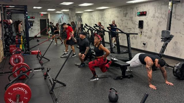 Image 1 from Ludus Actius partner gallery