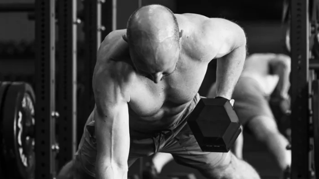 Image 1 from ZOLLA Strength partner gallery