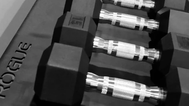 Image 3 from ZOLLA Strength partner gallery