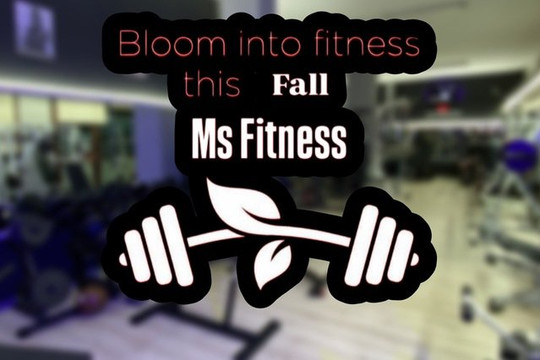 Immagine 3 dalla galleria del partner M.S Fitness Salvatore & Carmine