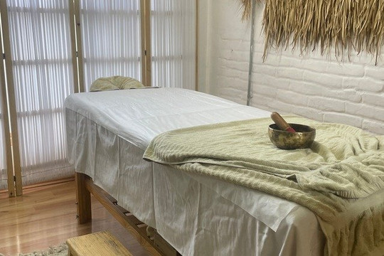 Imagen 1 de la galería del partner Guna Ayurveda