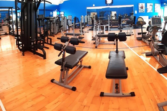 Immagine 2 dalla galleria del partner Papillo Sporting Club