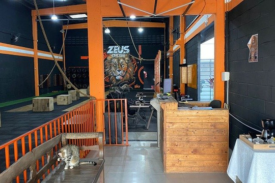 Imagem 3 da galeria do parceiro Zeus Cross