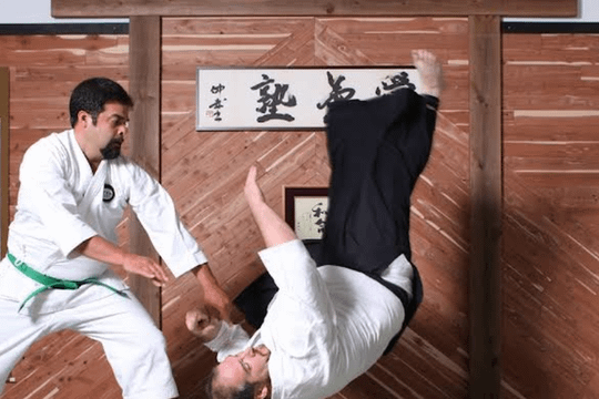 Image 2 from Aikijuku Dojo partner gallery