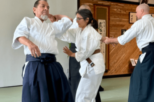Image 3 from Aikijuku Dojo partner gallery