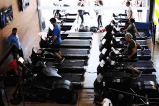 Imagem 1 da galeria do parceiro UAU FIT - Floresta