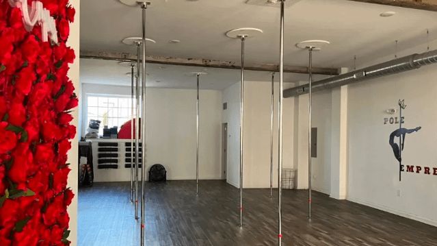 Image 1 from Pole Empress partner gallery