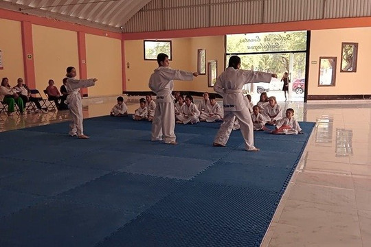 Imagen 1 de la galería del partner Instituto Tollan De Tae Kwon Do Tepeji Del Rio
