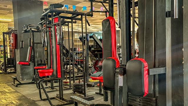 Imagem 2 da galeria do parceiro Pantera Academia