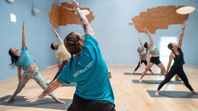 Image 2 from Movement Gym - Belmont partner gallery