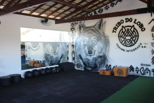 Imagem 1 da galeria do parceiro Tribo do Lobo - Treinamento Integrado
